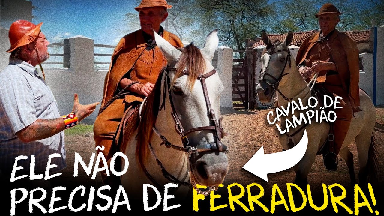 CAVALO NORDESTINO, O CAVALO MAIS RESISTENTE DO BRASIL!