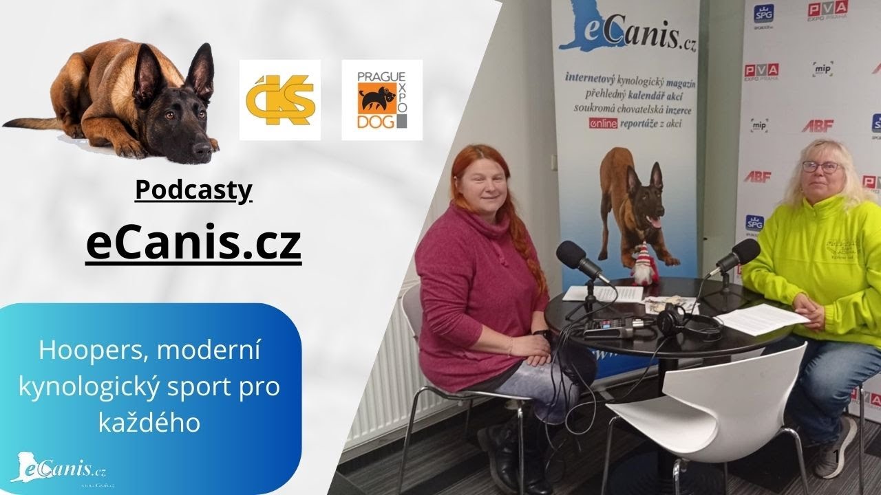 Hoopers, moderní kynologický sport pro každého