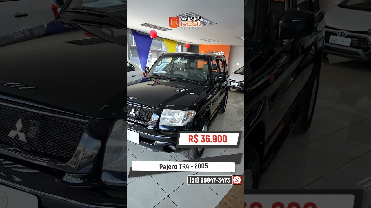 Pajero TR4