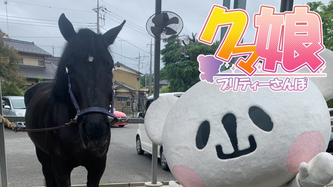 【乗馬】癒しの休日！乗馬クラブクレイン栃木【体験】