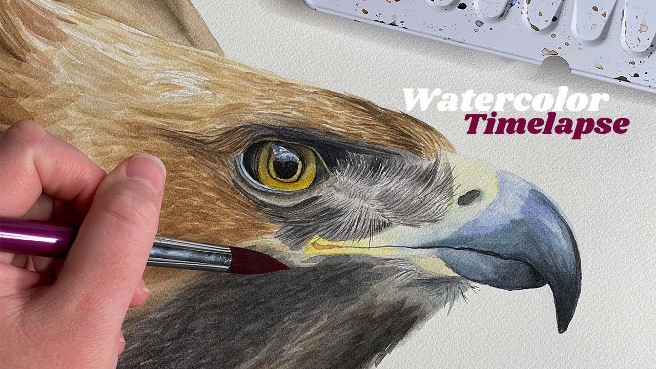 Watercolor Painting Time Lapse Process - Painting Animals - Hawk