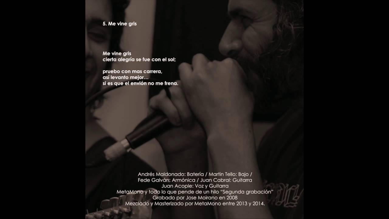 MetaMono - Me vine gris