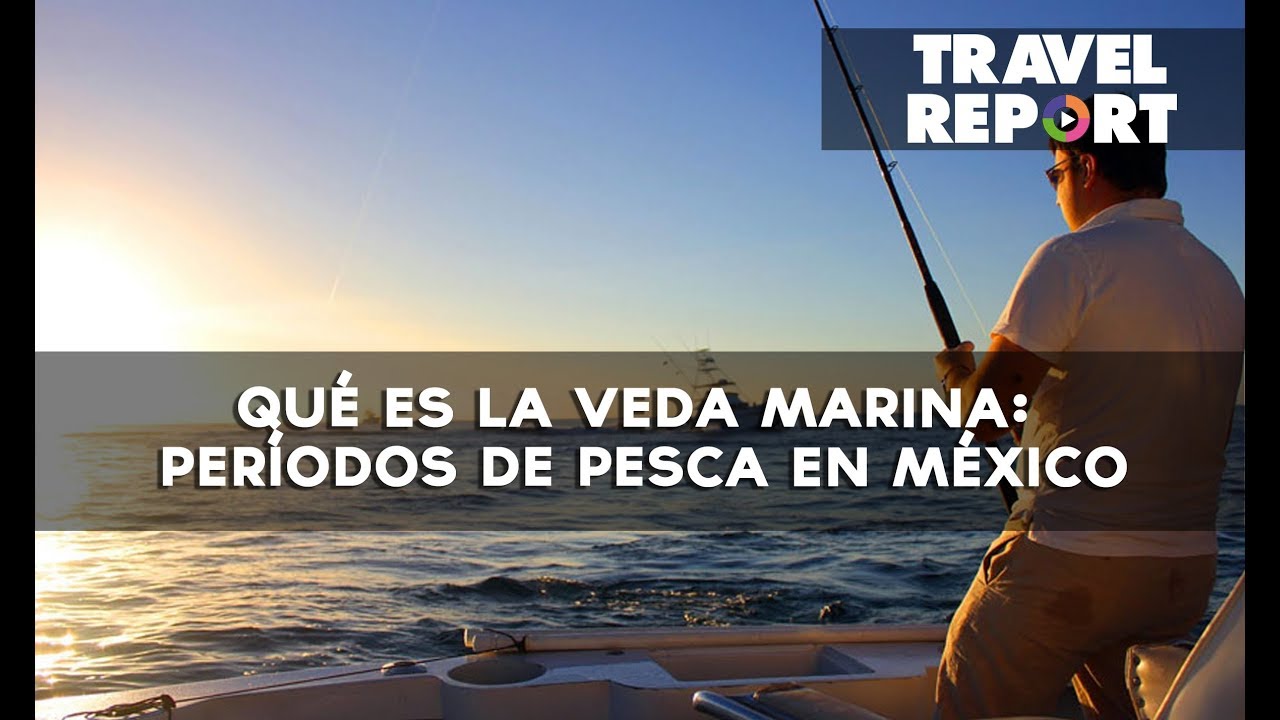 Qu&eacute; es la veda marina: per&iacute;odos de pesca en M&eacute;xico