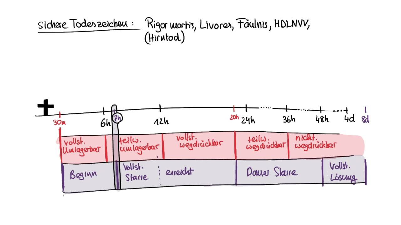 M36W3 PWA #3 Todeszeichen und Todeszeitpunkt