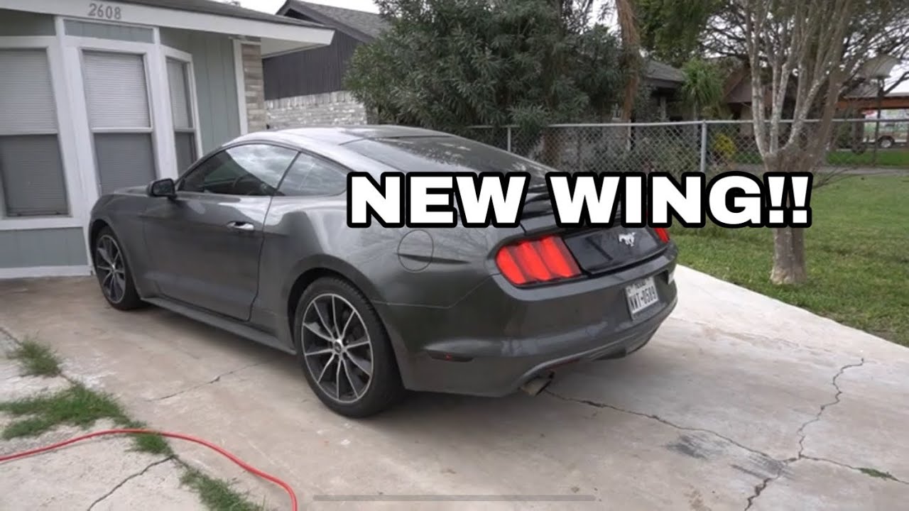 SISTERS MUSTANG GETS PP1 Spoiler!!