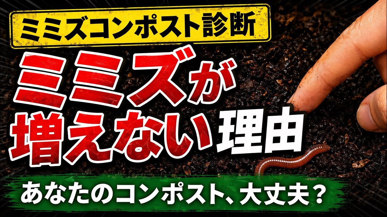 ミミズコンポスト診断！あなたのミミズが増えない理由は？ミミズ屋さんが解説します♪