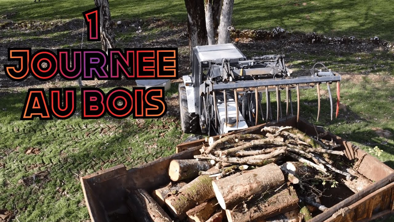 1 Journée au bois