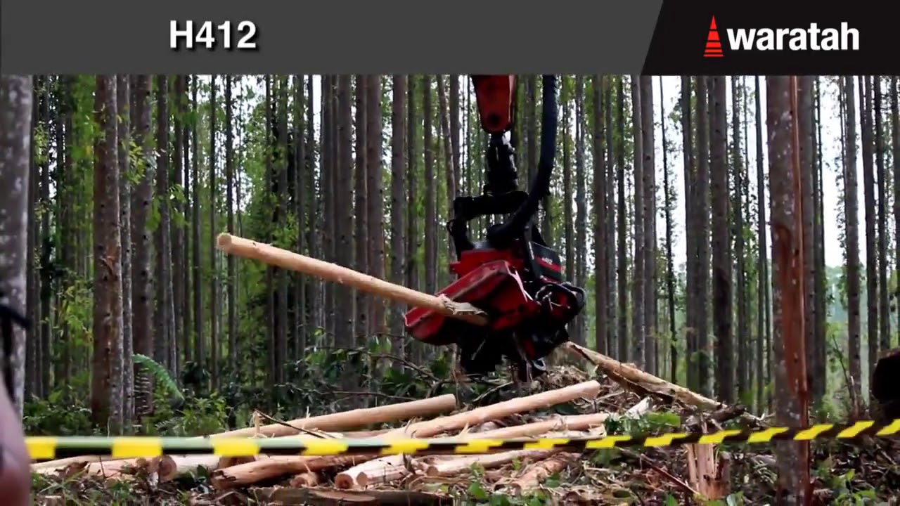 Waratah H412 Debarking Eucalyptus | Moviter