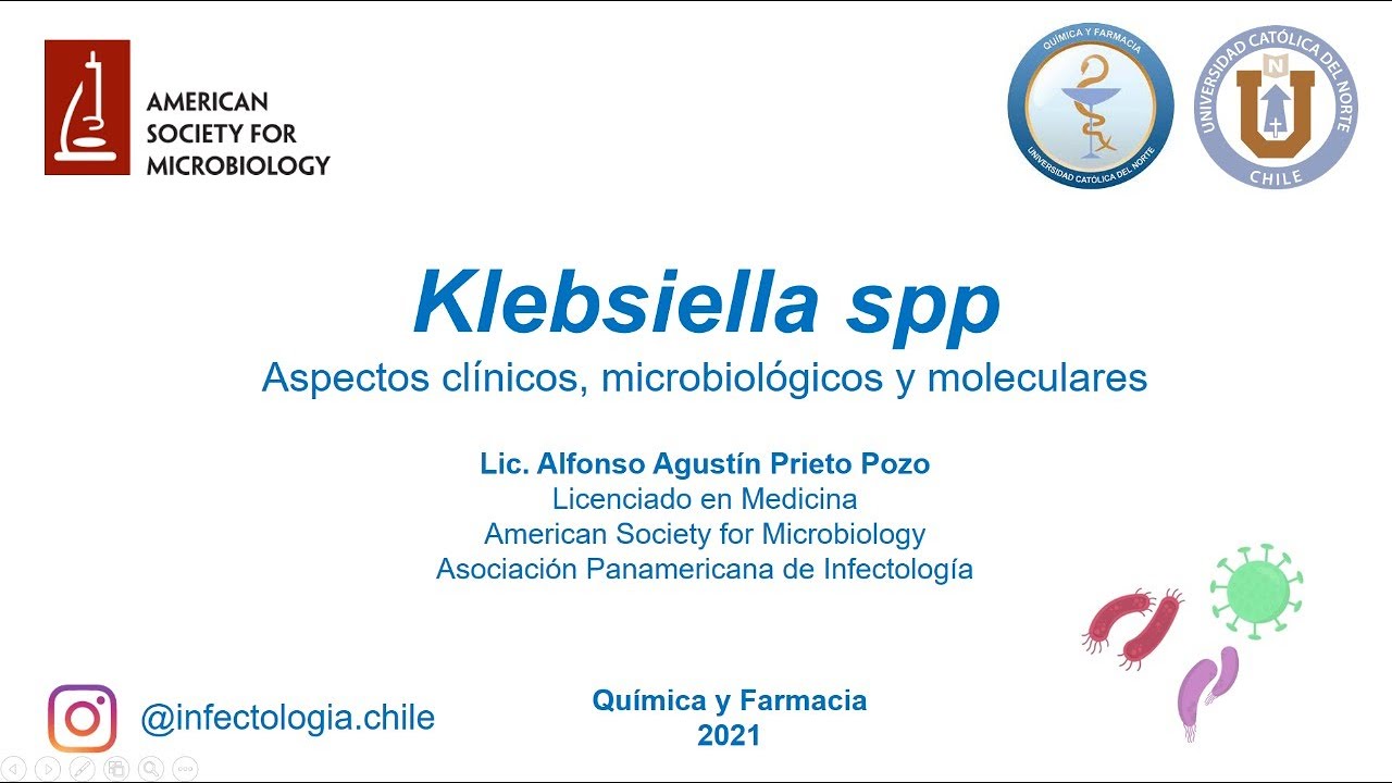 Klebsiella spp 2021