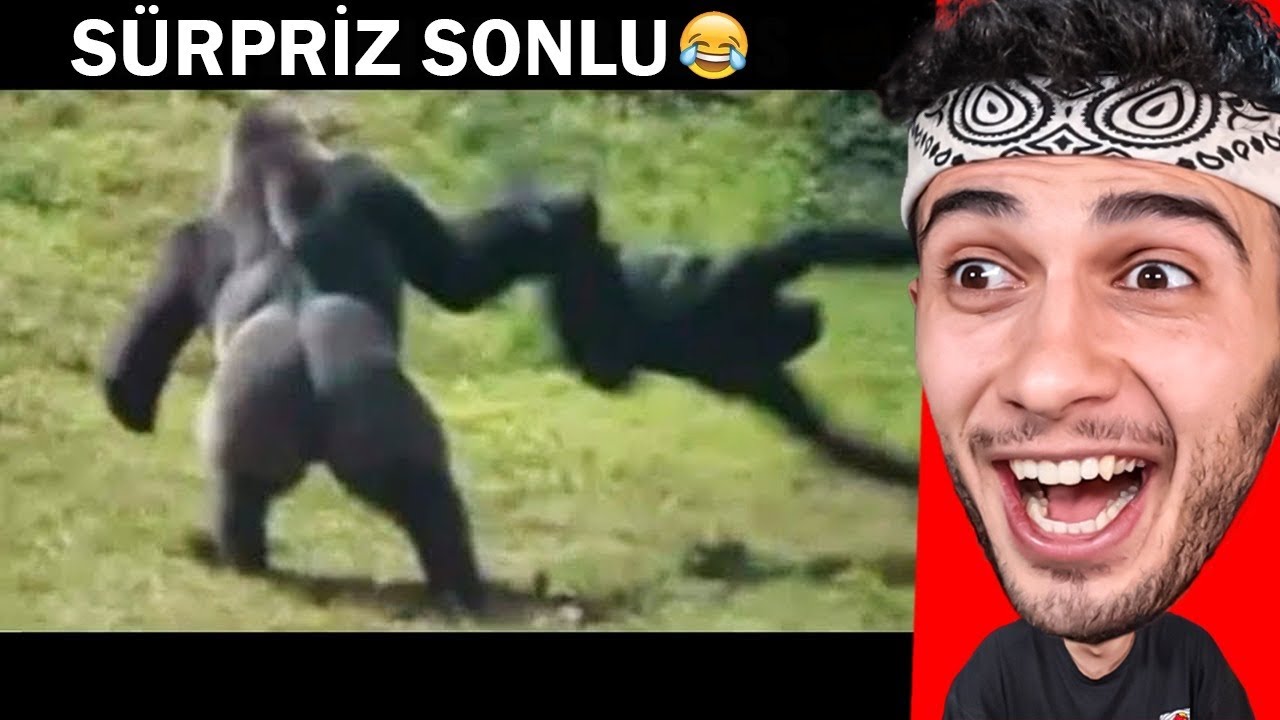 BEKLENMEDİK SONLA BİTEN VİDEOLAR