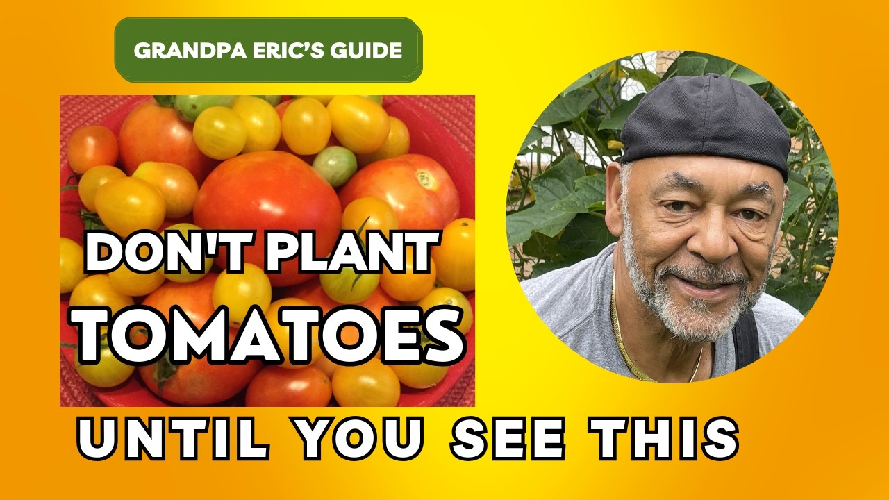 🌱 Growing Tomatoes from Seeds in GRANDPA ERIC’S GARDEN