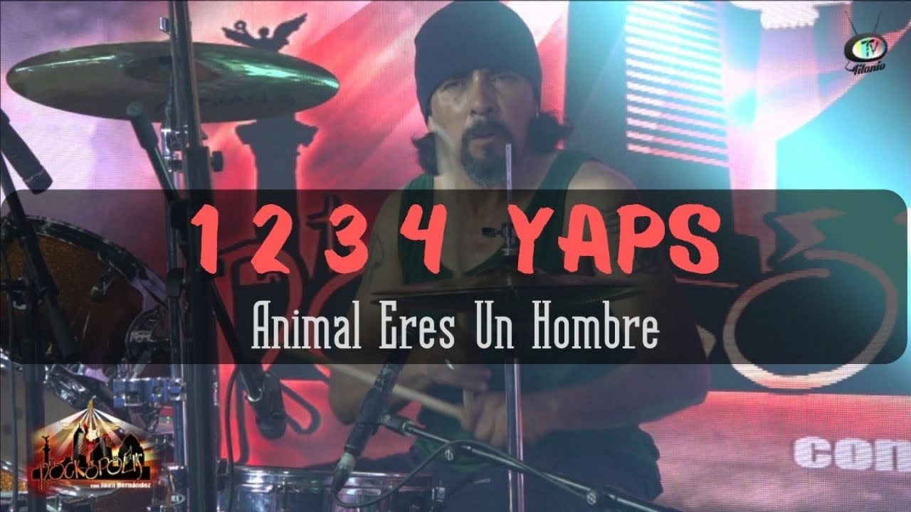 1234 Yaps - Animal Eres Un Hombre (Video Oficial)