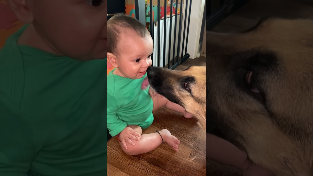 Dog ATTACKS baby! 😱 
