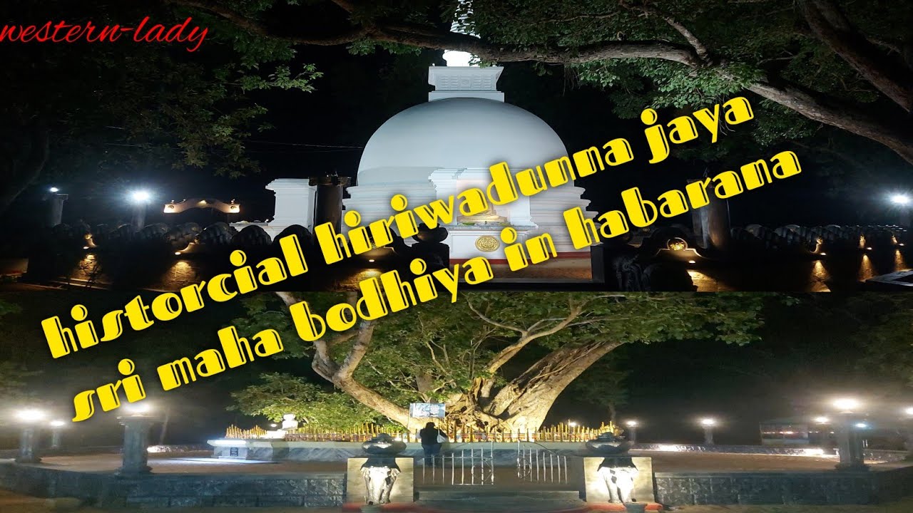 HISTORICAL HIRIWADUNNA JAYA SRI-MAHA BODHIYA IN HABARANA @western-lady