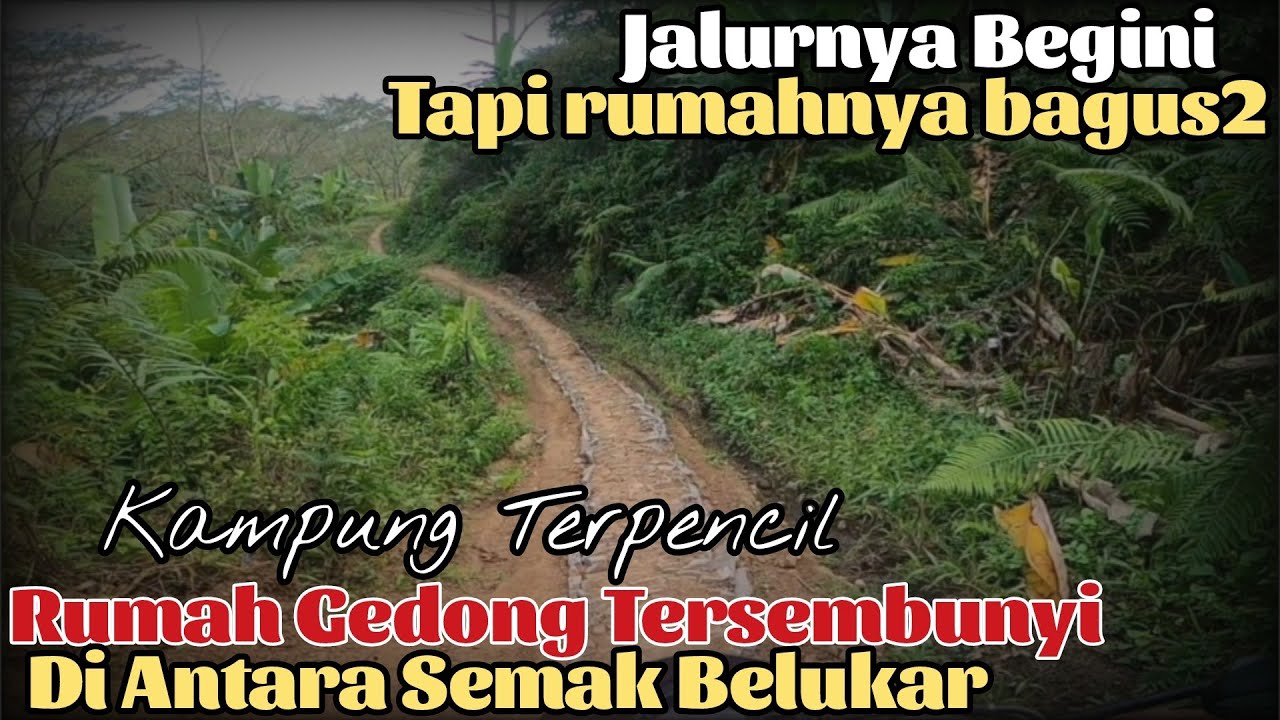 NEKAAT Masuk Jalan Setapak di Tengah Hutan, gak nyangka ada banyak Rumah Gedong, gimana Bangunnya?