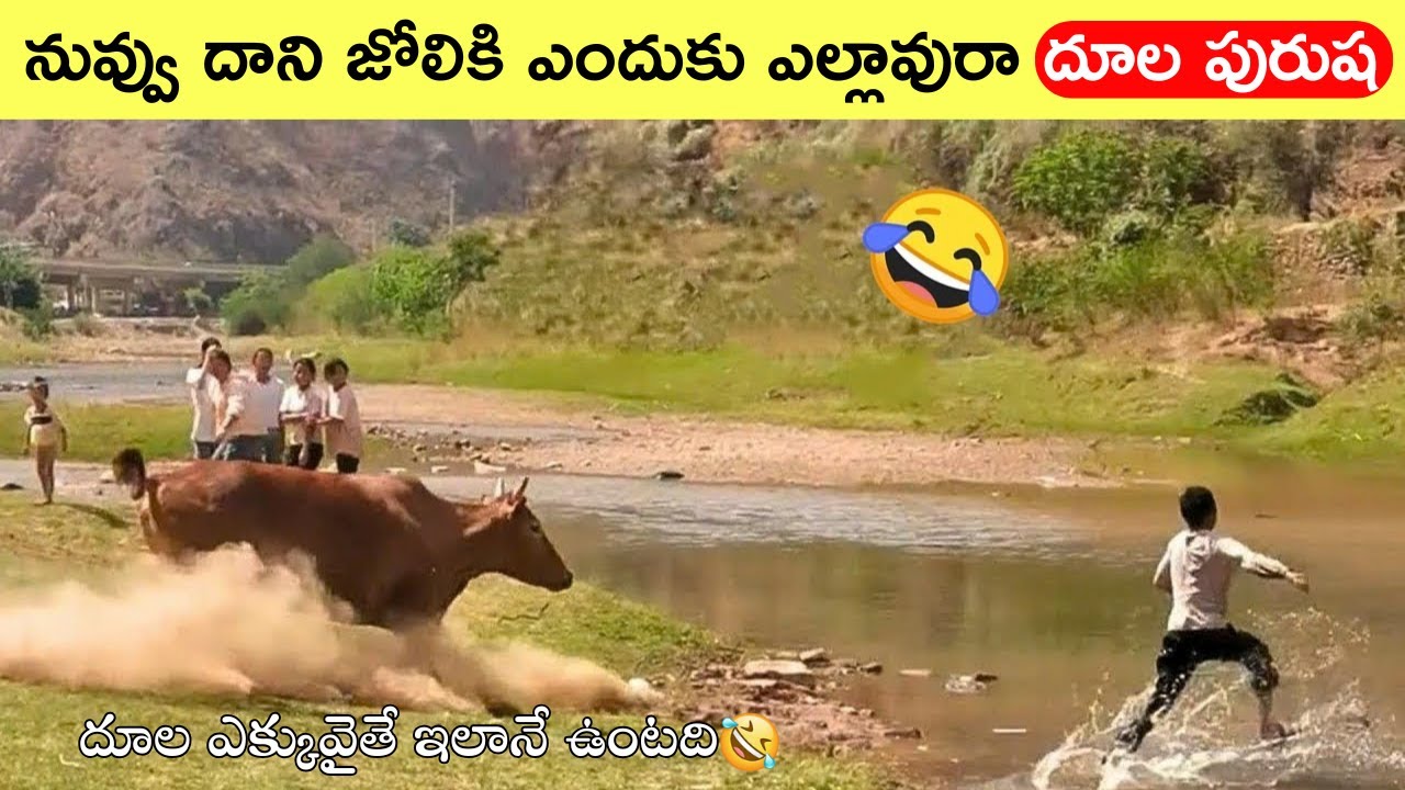Super Fun. Literally!! Funny things that make you laugh😂