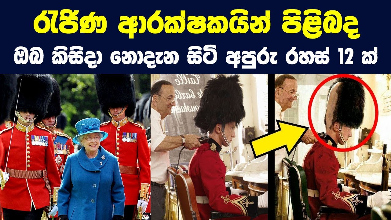 රැජිණ ආරක්ෂකයින් පිළිබද ඔබ නොදැන සිටි අපුරු රහස් 12ක් |Things You Never Knew About the Queen's Guard