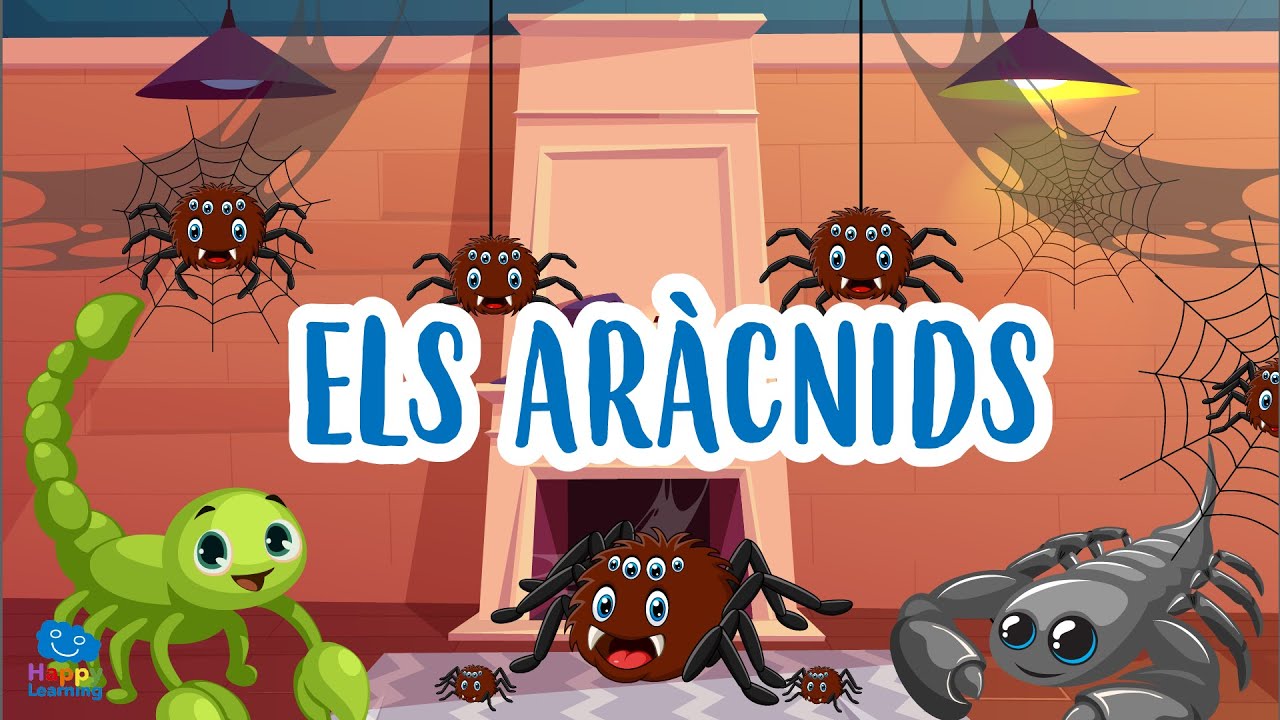 Els aràcnids | Vídeos educatius per a nens en llengua catalana