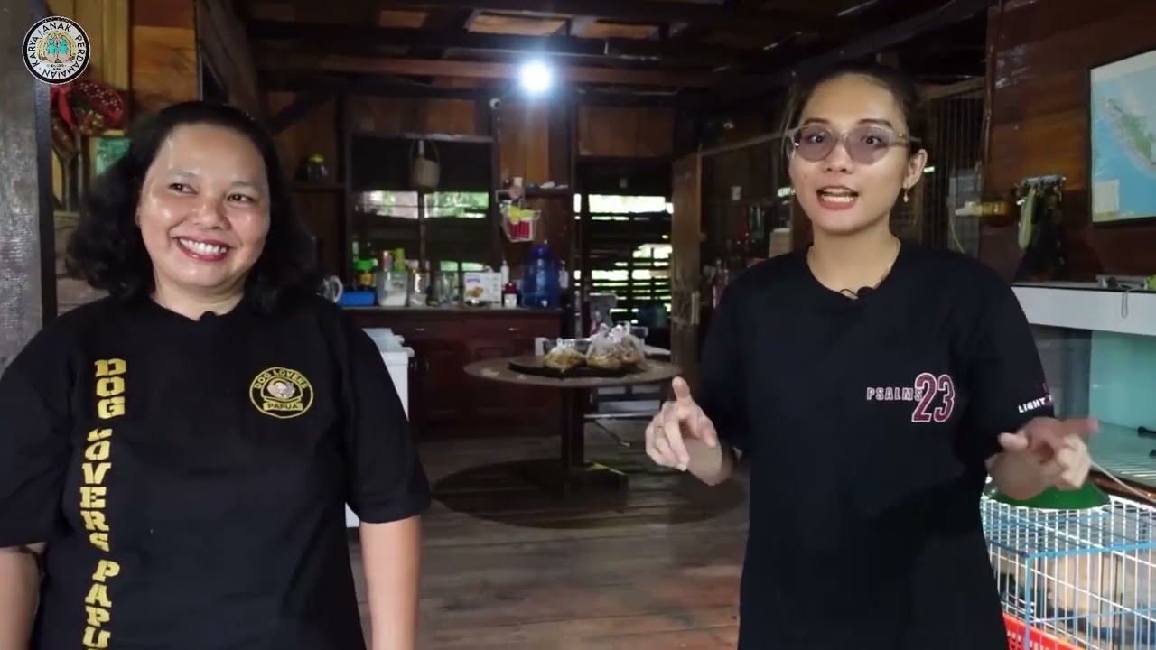 Ternak Anjing Ras Jayapura
