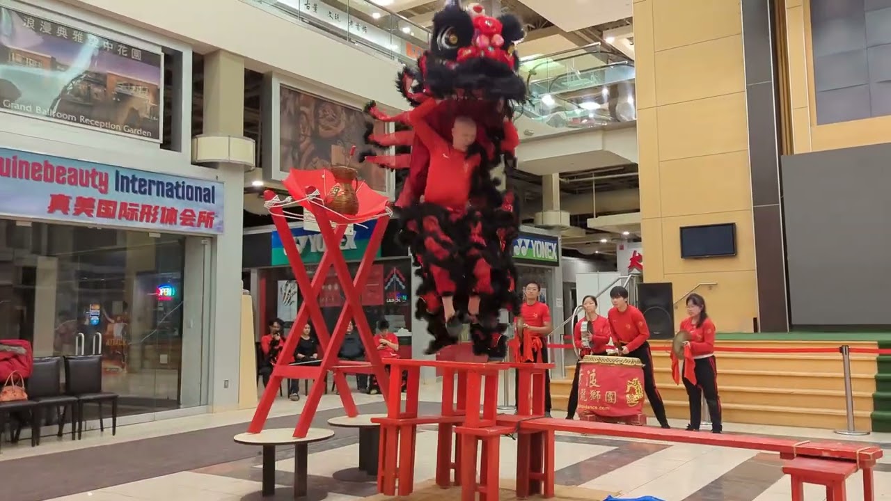 醒獅過橋登高採酒青