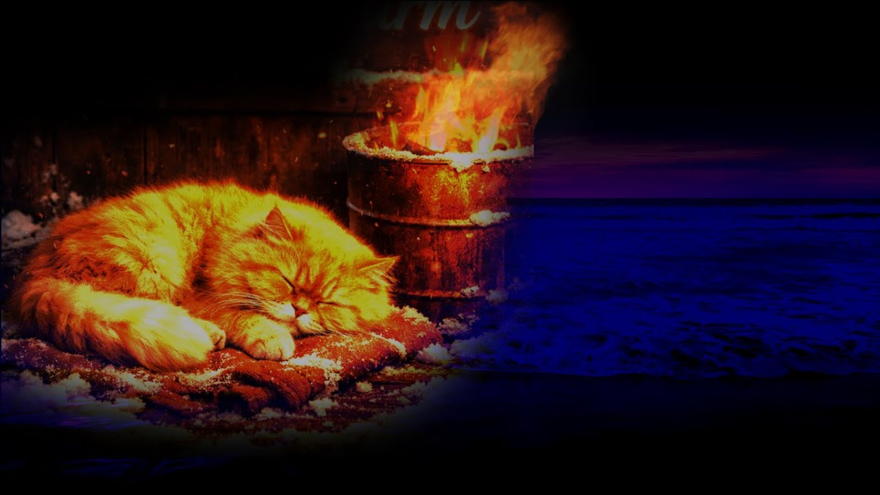 Cold Outside, Warm Inside 🐾🔥 Deep Cozy Winter Sleep Vibes