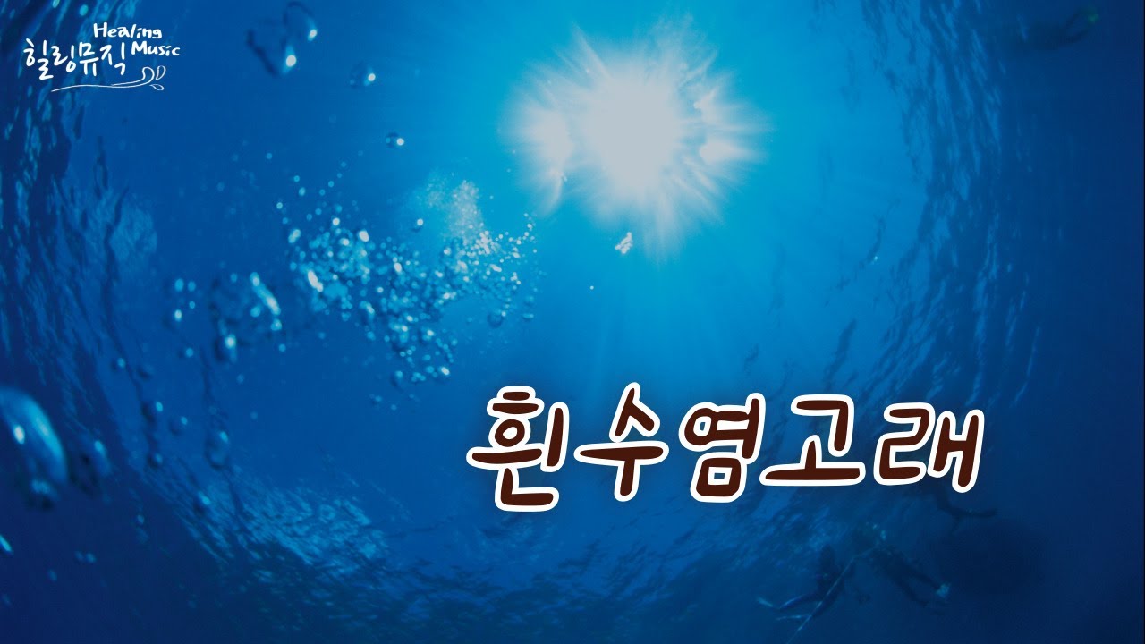 흰수염고래 MR (2키내림) [작곡/윤도현 허준, 작사/윤도현, 원곡 YB] [방태환의 힐링사운드]