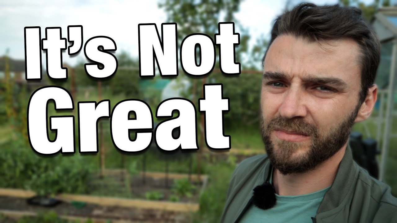 This Gardening Year is Challenging | Allotment Update