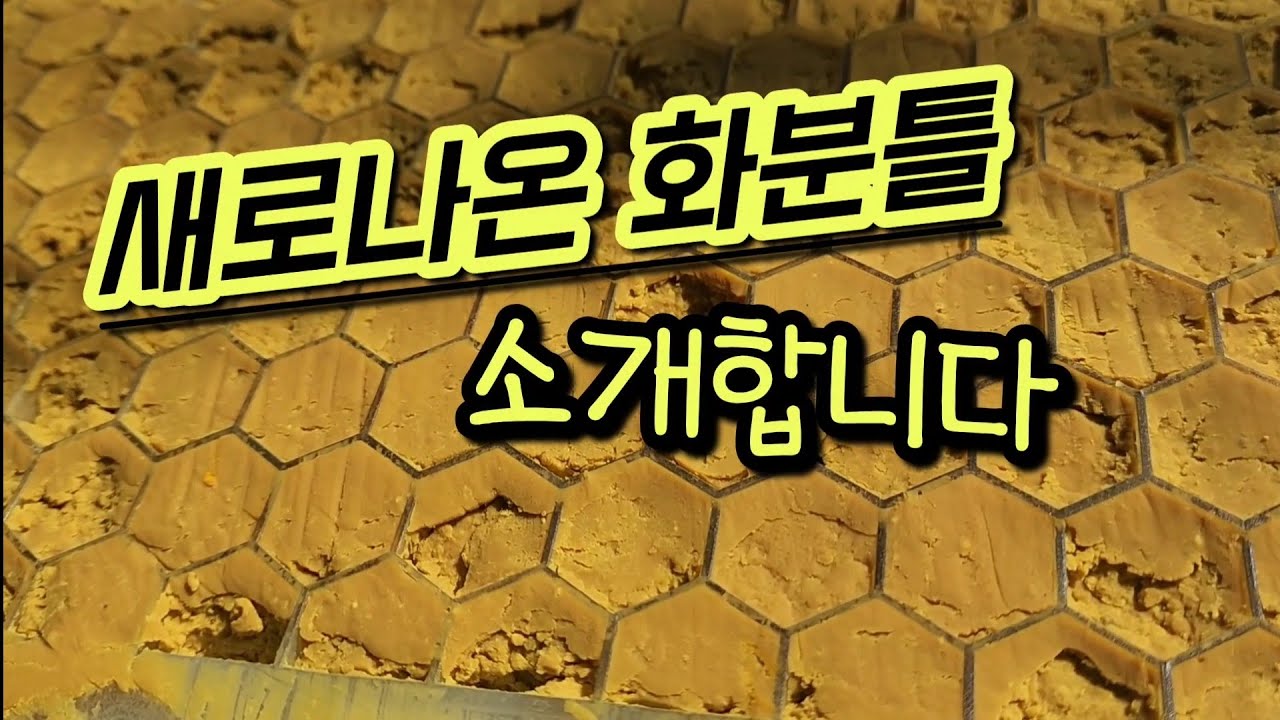 새로운 화분떡으로 자극해서  산란까지(문의)01029518565
