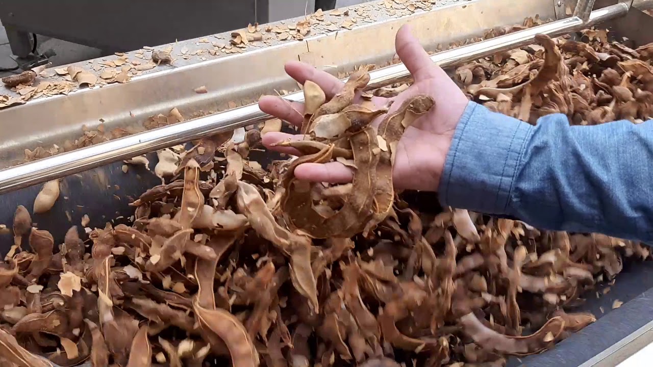Prueba Tamarindo, Lavadora y Peladora MX-LP220