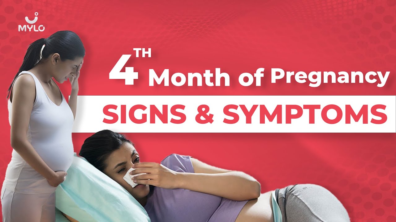 4 Month Pregnancy: 4th Month Pregnancy Symptoms | 4th Month Of Pregnancy Baby Movement  | Mylo