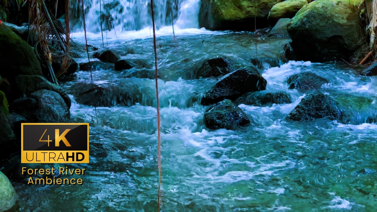 Fall Asleep Fast with Strong River Sounds | 3 Hours in a Deep Forest (4K UHD)