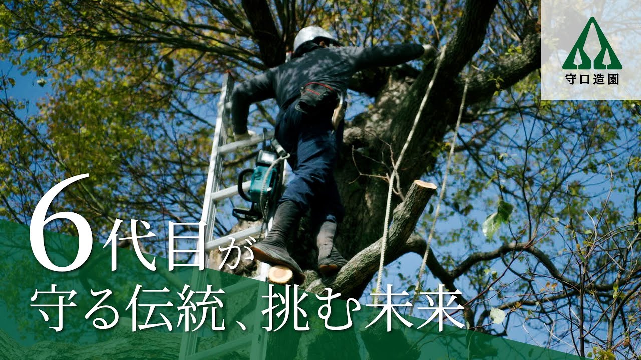 【6代続く技を未来へ】明治から続く造園文化を継ぐ守口造園。受け継がれる技と育つ人【採用動画】