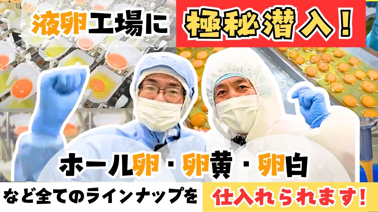 業務用液卵工場の見学！「業務用卵黄」「業務用冷凍卵黄」「業務用卵白」など仕入れお任せ！