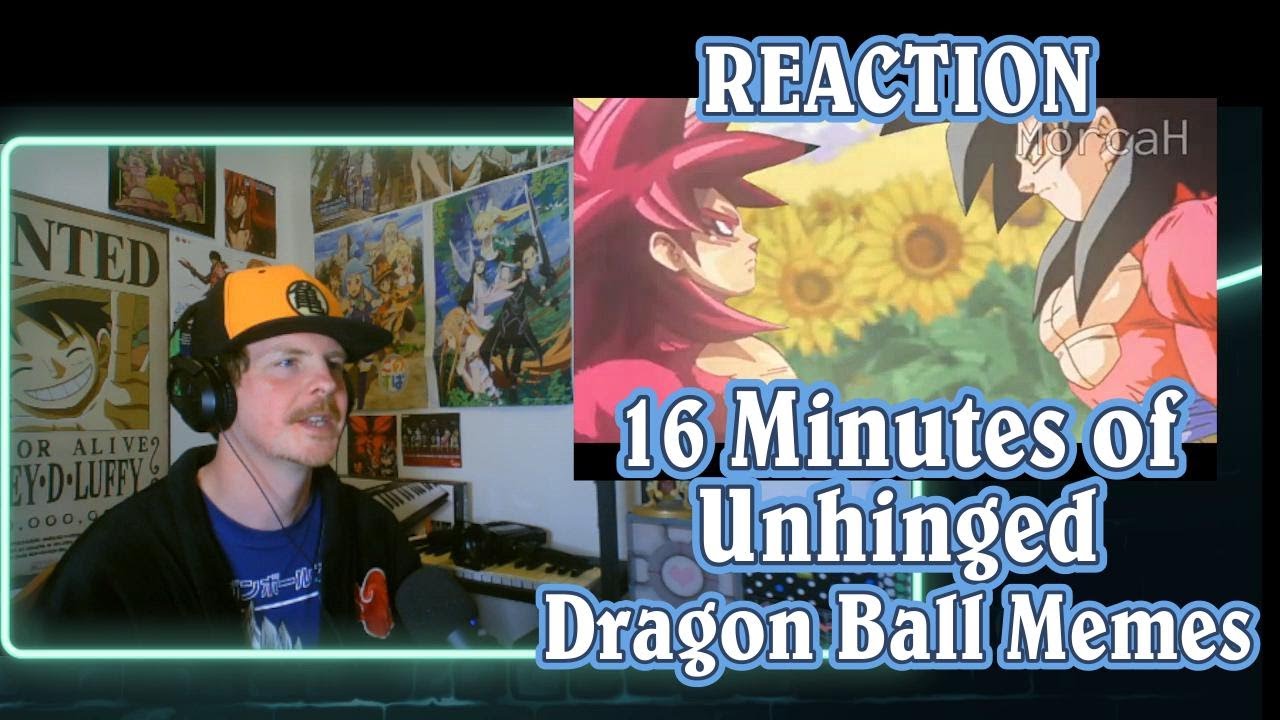 16 Minutes of Unhinged Dragon Ball Memes REACTION