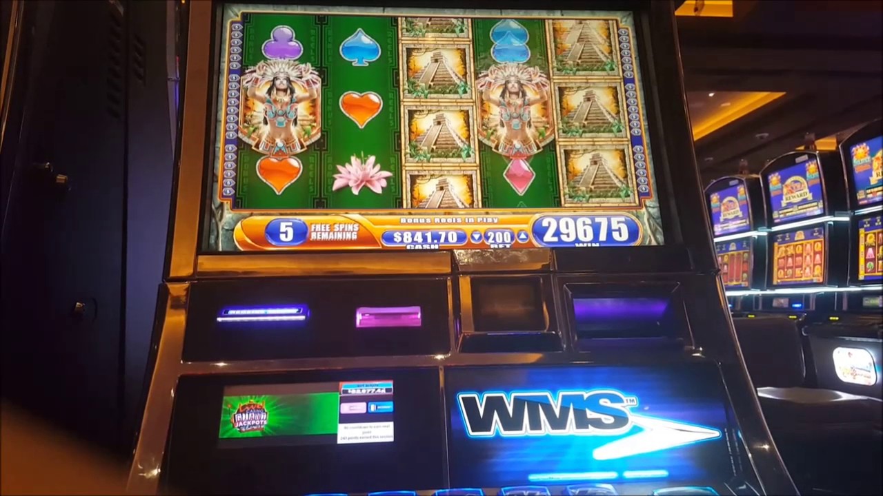 Jungle Wild 3 - ALL 5 Bonus Symbols + ENORMOUS HIT Near 1000x - WMS