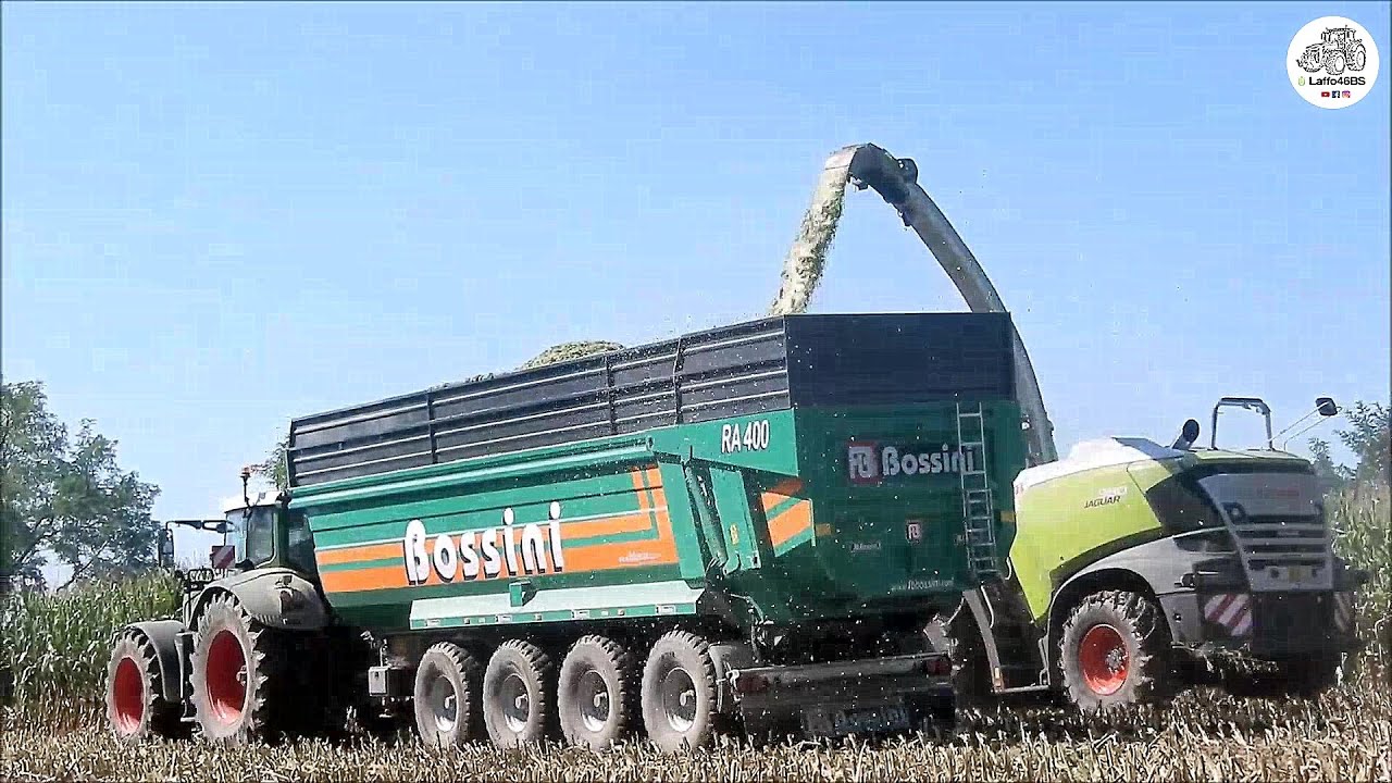 Claas Jaguar 980 Type 498 & New Bossini RA 400 - ANSELMI - Corn silage 2020