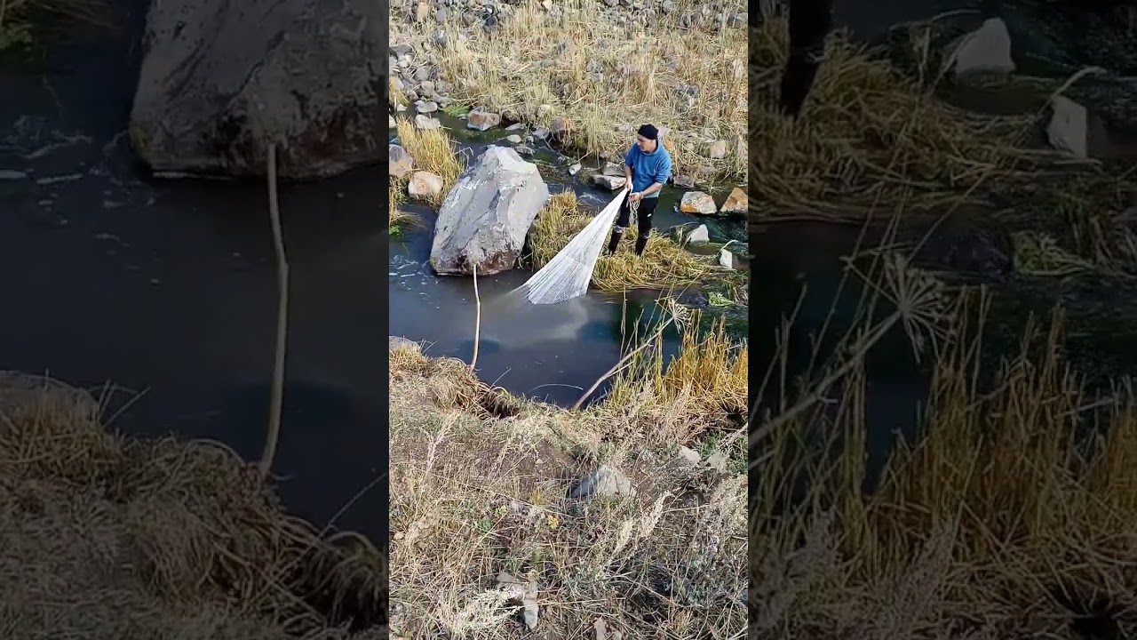 Doğayla yaşam hakiki dağ alası 