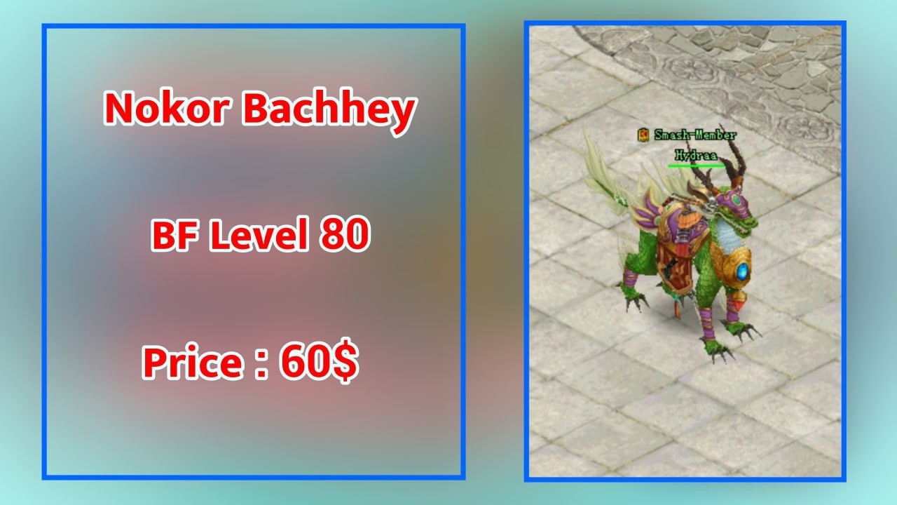 JX2-BF Level 80 at Nokor Bachhey