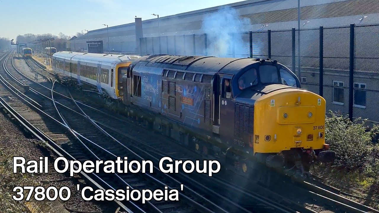 Rail Operations Group Class 37 800 'Cassiopeia' at Gillingham on the Chatham Main Line.
