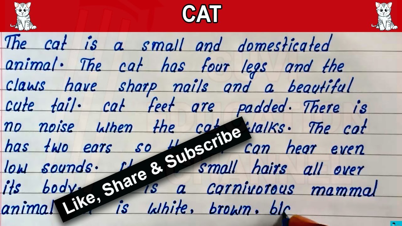 Cat 🐈 English Paragraph Writing | Cat English essay | Write simple English essay on Cat🐈🐱