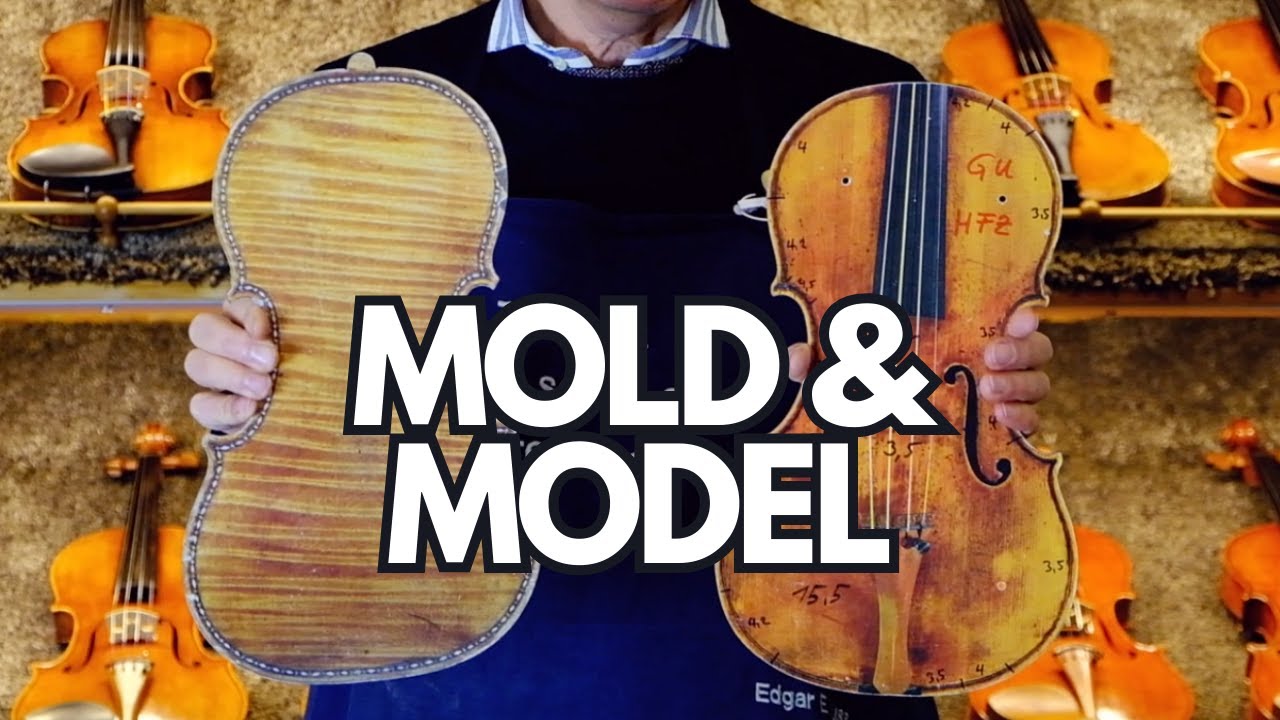 MOLD and MODEL