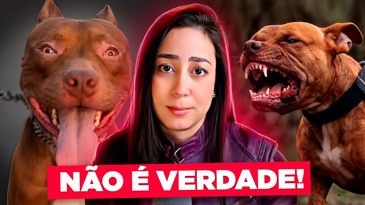 Você AINDA ACREDITA nesses ABSURDOS sobre cães?! 🙄