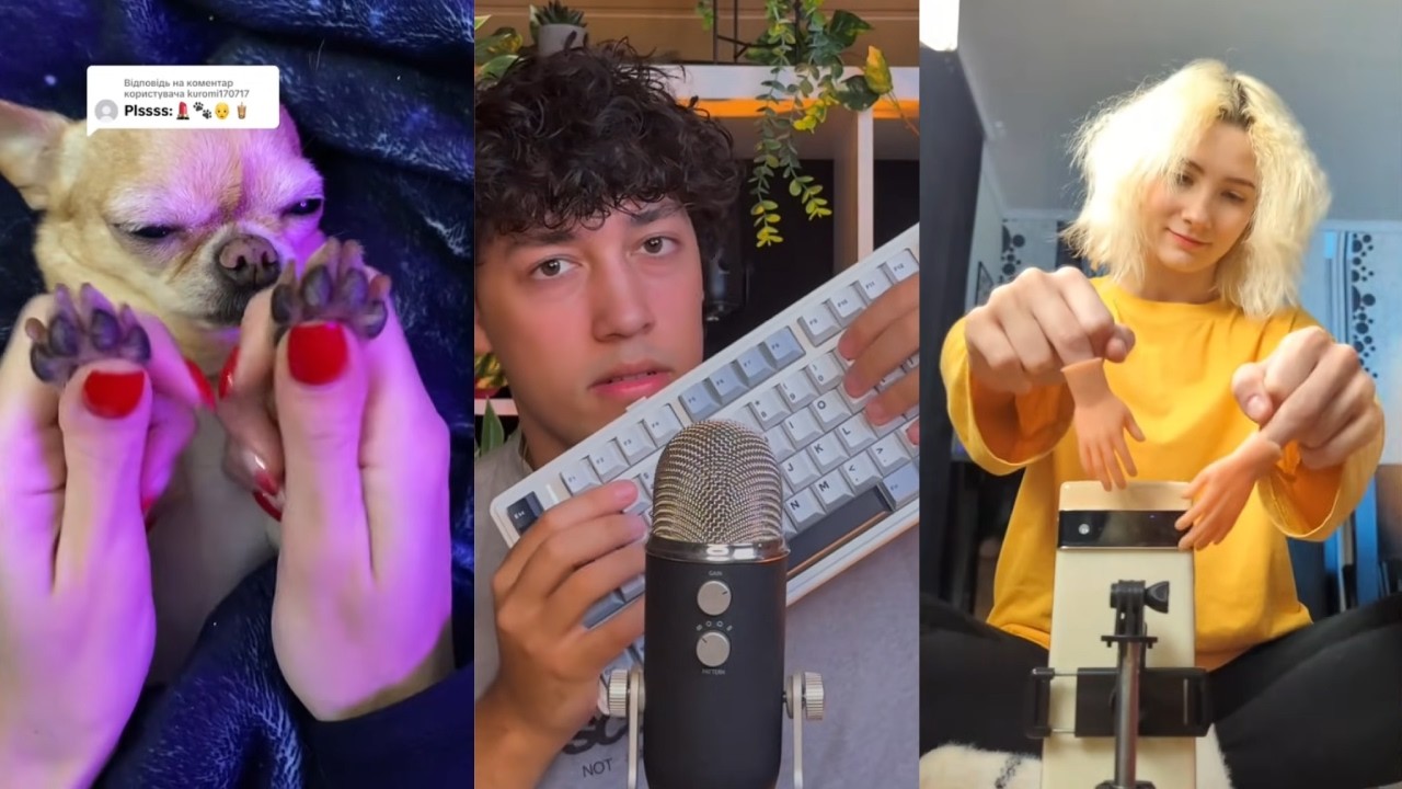 ✨ TikTok ASMR Compilation [15MIN] ✨ Part 3 ✨ Sleep, Tingles & Relax