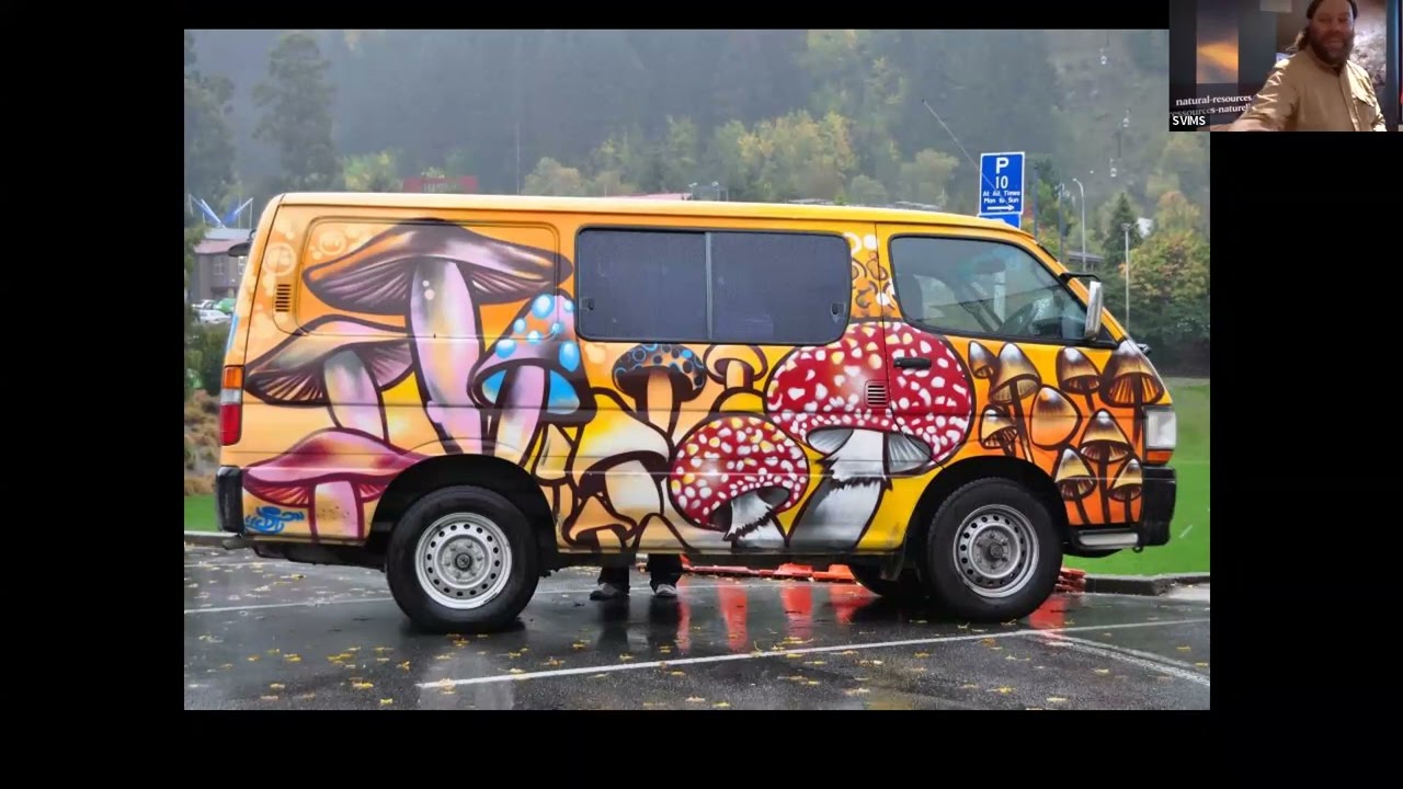 Noah Siegel - MUSHROOMS