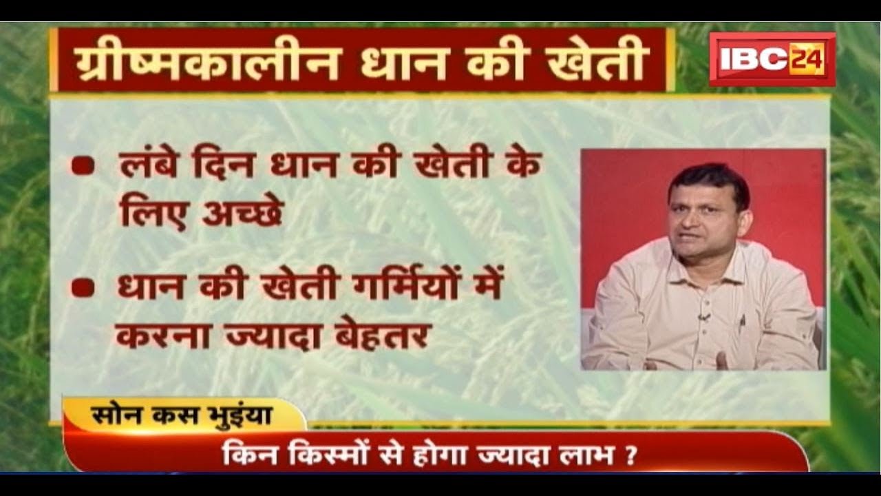 Grain Farming In Summer | ग्रीष्मकालीन में धान की खेती कैसे करें ? Sonkas Bhuiyan