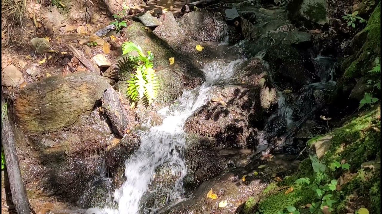 1h Einschlafmusik purer Wasserklang, Meditation, endlich Durchschlafen 😴 Bachlauf, Gebirgsbach
