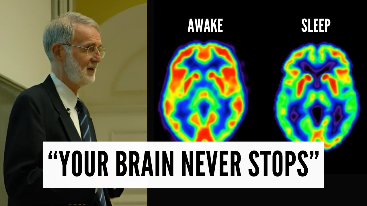 The Default Mode Network: What Your Brain is Doing When You're Not Doing Anything