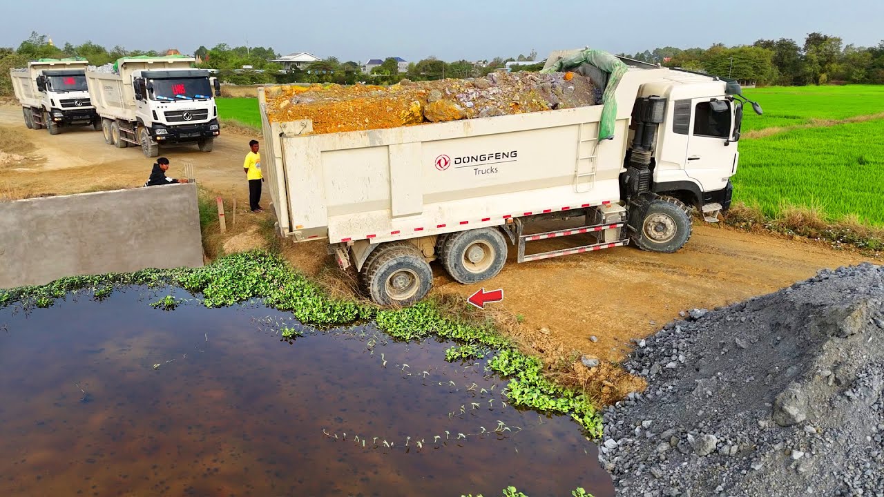 BE WATCHFUL ! O.M.G Starting Landfill Site Formed Use Dump Truck 25.5Ton & Dozer SHANTUI C3 Pushing!