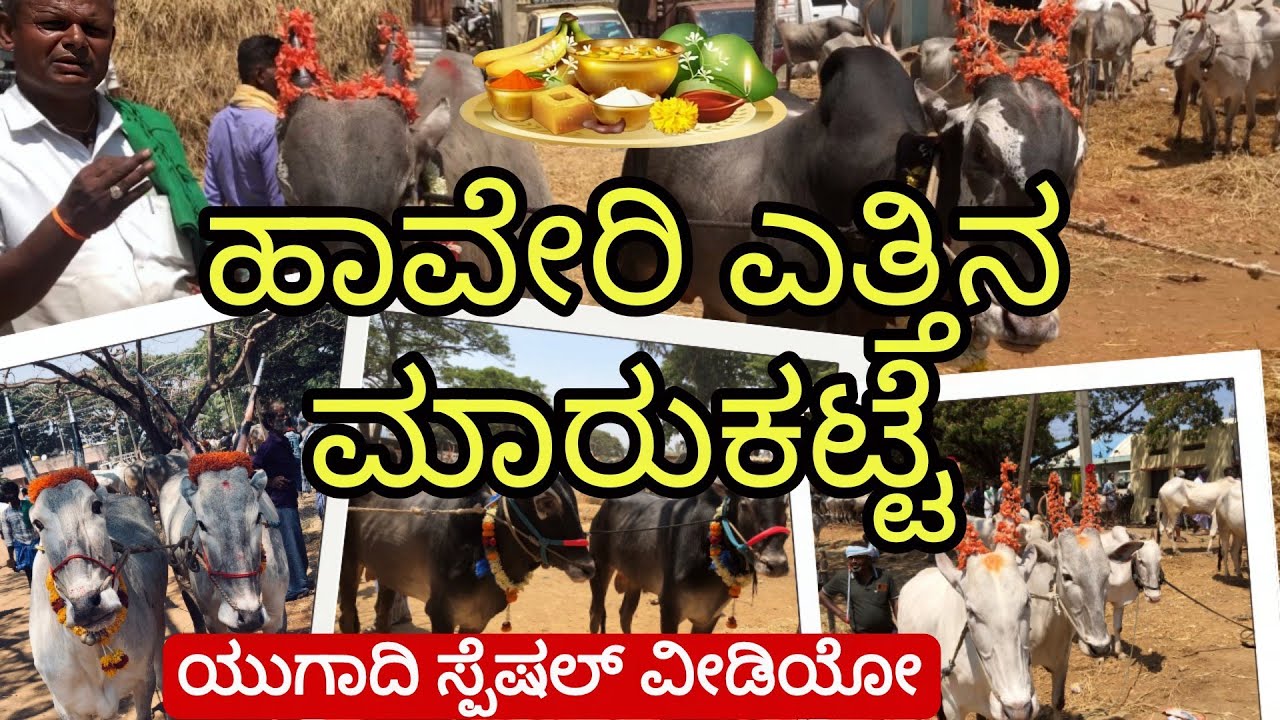 ಹಾವೇರಿ ಎತ್ತುಗಳ ಮಾರುಕಟ್ಟೆ | Haveri Bulls Market | Incredible Vishaya