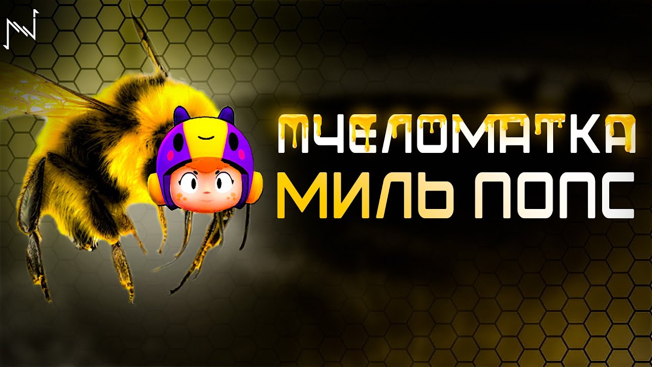 Гайд на пчелу или как быть BEEсексуалом🐝